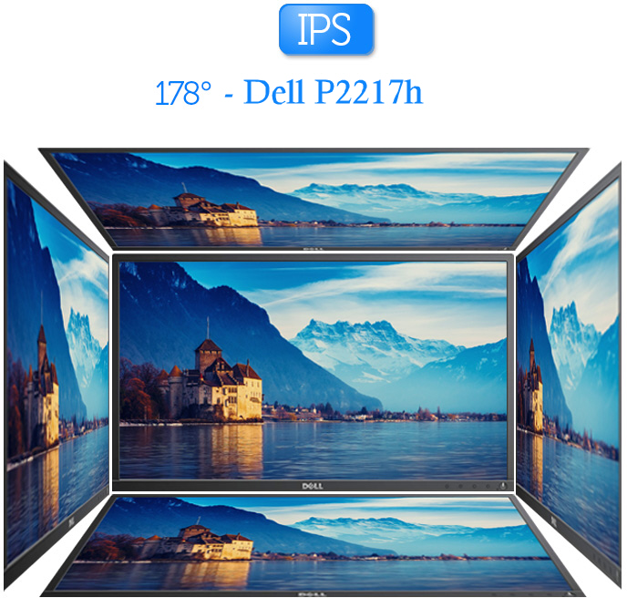 Dell Professional P2217H - IPS